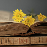 Giải bài tập SGK Tiếng Anh lớp 10 Chương trình mới Unit 1: Family Life