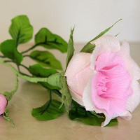 Giải bài tập SGK Tiếng Anh lớp 10 Chương trình mới Unit 10: Ecotourism