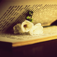 Giải bài tập SGK Tiếng Anh lớp 10 Chương trình mới Unit 2: Your Body And You