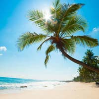 Văn mẫu lớp 5: Tả về mùa hè đáng nhớ vừa qua