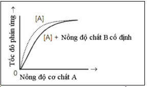 Đề thi học sinh giỏi cấp tỉnh môn Sinh học lớp 11