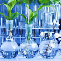 Đề thi học sinh giỏi môn Sinh học lớp 11 Sở GD&ĐT Quảng Bình năm học 2016 - 2017