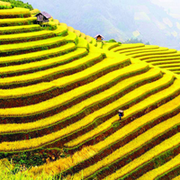 Trắc nghiệm Ngữ văn lớp 10: Bài - Tục ngữ về đạo đức, lao động