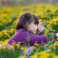 Đề thi khảo sát chất lượng đầu năm môn Tiếng Việt lớp 3 trường Tiểu học Thanh Tân, Thừa Thiên Huế năm học 2014 - 2015