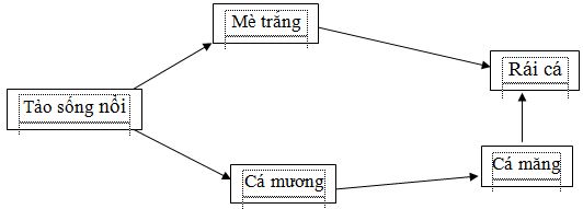 Đề thi học sinh giỏi môn Sinh học lớp 9 tỉnh Hải Dương năm học 2016 - 2017