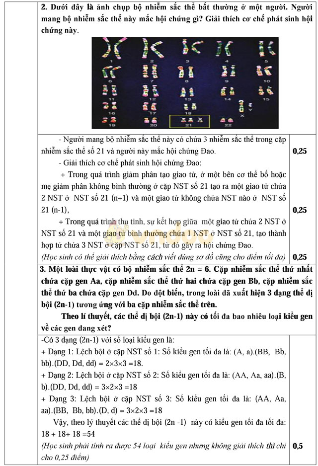 Đề thi học sinh giỏi môn Sinh học lớp 9 tỉnh Hải Dương năm học 2016 - 2017