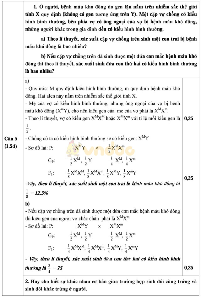 Đề thi học sinh giỏi môn Sinh học lớp 9 tỉnh Hải Dương năm học 2016 - 2017