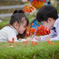 Giáo án Tiếng Việt 3 tuần 2: Tập đọc - Ai có lỗi?