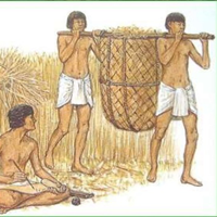 Trắc nghiệm Lịch sử lớp 10: Chương 1: Xã hội nguyên thủy