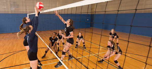 Tên tiếng Anh của môn Bóng chuyền