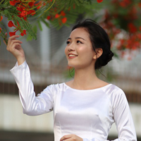 Trắc nghiệm Ngữ văn lớp 10: Bài - Luyện tập về biện pháp tu từ