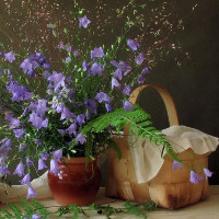 Bài kiếm tra kiến thức sau hè môn tiếng Anh lớp 4 có đáp án