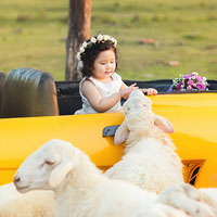 Giáo án lớp cơm nát (19 - 24 tháng): Bé chơi với ống chỉ