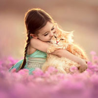 Giáo án lớp cơm nát (19 - 24 tháng): Đi trên ghế băng, bước qua chướng ngại vật