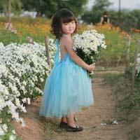 Giáo án Tiếng Việt 3 tuần 2: Luyện từ và câu - Mở rộng vốn từ: Thiếu nhi