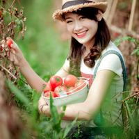 Hình học lớp 9: Ôn tập chương Đường tròn