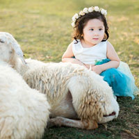 Giáo án lớp cơm nát (19 - 24 tháng): Nặn quả bóng