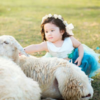 Giáo án lớp cơm nát (19 - 24 tháng): Xem ai khéo tay