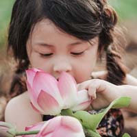 Đề khảo sát chất lượng tháng 7 môn Toán lớp 5