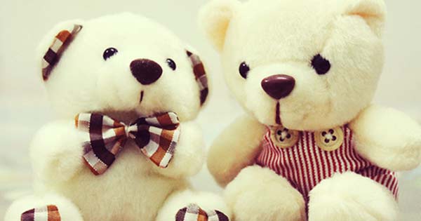 Tả con gấu bông