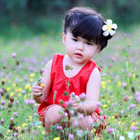 Giáo án lớp chồi (4 - 5 tuổi): Tìm hiểu và trò chuyện về chim