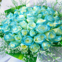 Sách bài tập tiếng Anh lớp 6 Test Yourself 1 Global Success