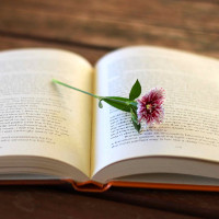 Đề thi khảo sát đầu năm lớp 10 môn Tiếng Anh năm 2015 - 2016 trường THPT Minh Phú