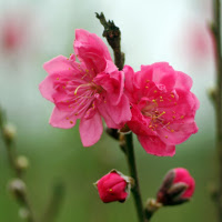 Giải bài tập SBT Test yourself 1 Tiếng Anh lớp 7 chương trình mới