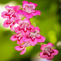 Giải bài tập SBT Test yourself 2 Tiếng Anh lớp 7 chương trình mới