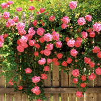 Giải bài tập SBT Test yourself 3 Tiếng Anh lớp 6 chương trình mới