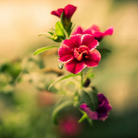 Giải bài tập SBT Test yourself 4 Tiếng Anh lớp 6 chương trình mới