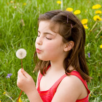 Giáo án Tiếng Việt 4 tuần 4: Chính tả - Nhớ - viết: Truyện cổ nước mình, phân biệt r/d/gi, ân/âng