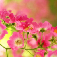 Giải bài tập SBT Test yourself 4 Tiếng Anh lớp 7 chương trình mới