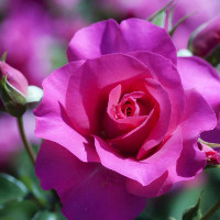 Giải bài tập SBT Test yourself 1 Tiếng Anh lớp 9 chương trình mới