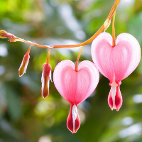 Giải bài tập SBT Test yourself 2 Tiếng Anh lớp 9 chương trình mới