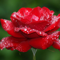 Giải bài tập SBT Test yourself 3 Tiếng Anh lớp 9 chương trình mới