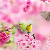 Giải sách bài tập Test yourself 2 Tiếng Anh lớp 8 chương trình mới