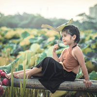 Giáo án an toàn giao thông lớp 2