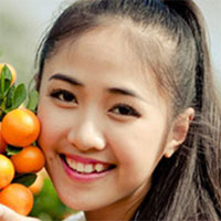 Đề thi học sinh giỏi môn Lịch sử lớp 11 Sở GD-ĐT tỉnh Vĩnh Phúc năm học 2016 - 2017