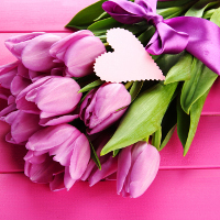 Giải bài tập SBT Tiếng Anh lớp 7 chương trình mới Unit 10: Sources Of Energy