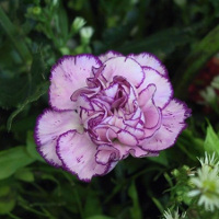 Giải bài tập SBT Tiếng Anh lớp 7 chương trình mới Unit 8: Films