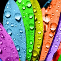 Từ vựng tiếng Anh chủ đề Màu sắc