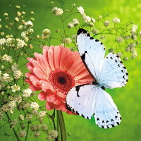 Giải bài tập SBT Tiếng Anh lớp 8 chương trình mới Unit 5: Festivals in Vietnam