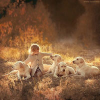 Giáo án lớp lá (5 - 6 tuổi): Bé yêu con vật nuôi trong gia đình