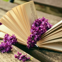 Đề kiểm tra học kỳ 2 môn Tiếng Anh lớp 6 trường THCS Chiềng Ngàm năm học 2016 - 2017