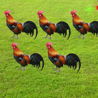 Giáo án lớp lá (5 - 6 tuổi): Đếm vẹt trong phạm vi 5