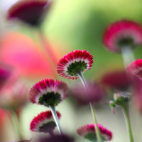 Bài tập chia động từ Tiếng Anh