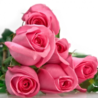 Giải bài tập SBT Tiếng Anh lớp 8 chương trình mới Unit 10: Communication