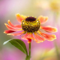 Đề kiểm tra 1 tiết số 3 môn Tiếng Anh lớp 7 THCS Tam Đảo, Vĩnh Phúc