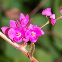 Bài tập ôn hè môn tiếng Anh lớp 10